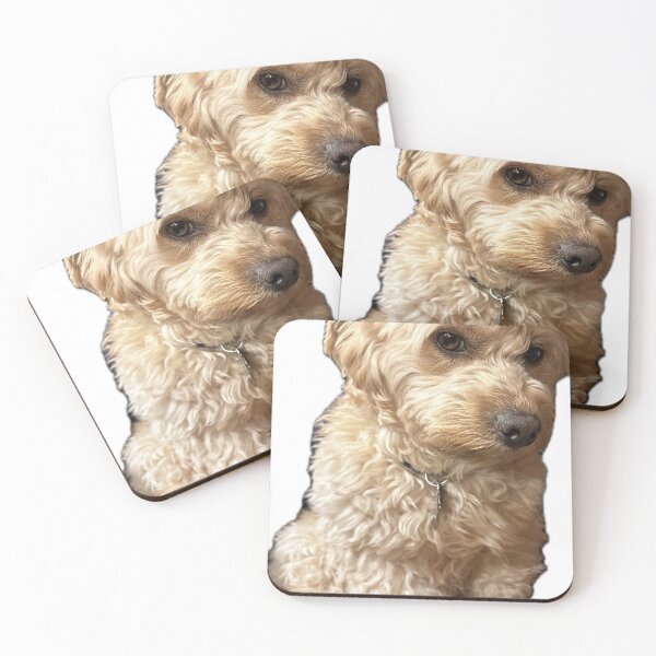 Item preview, Handsome Cockapoo Staring At You Free Dog designed and sold by Ideas-BYDESiGN.