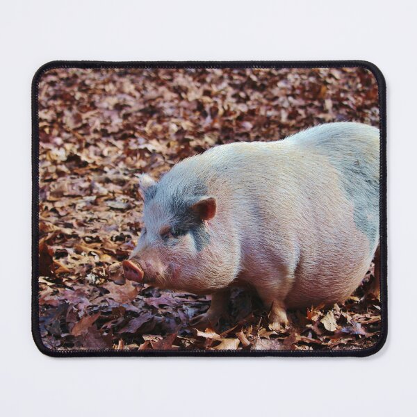Item preview, Pot-bellied Pig designed and sold by Cynthia48.