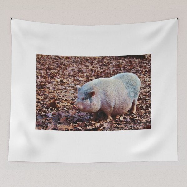 Item preview, Pot-bellied Pig designed and sold by Cynthia48.