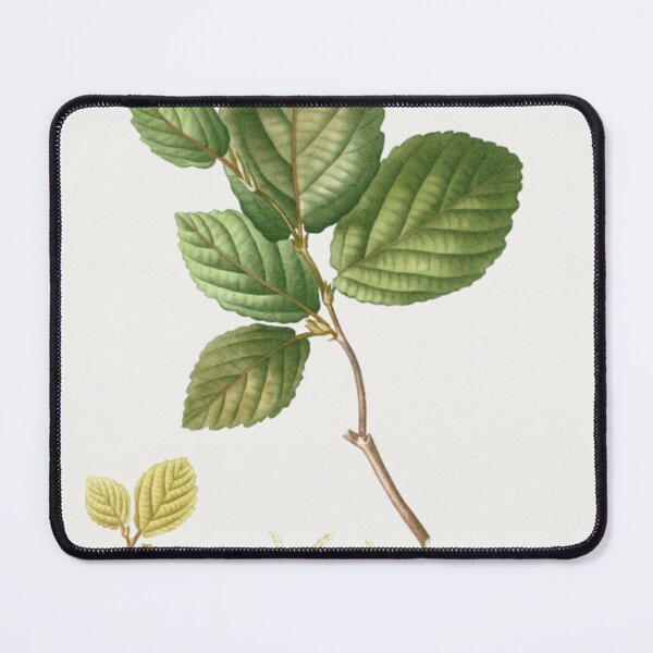 Item preview, Witch Hazel designed and sold by BlueSpecsStudio.