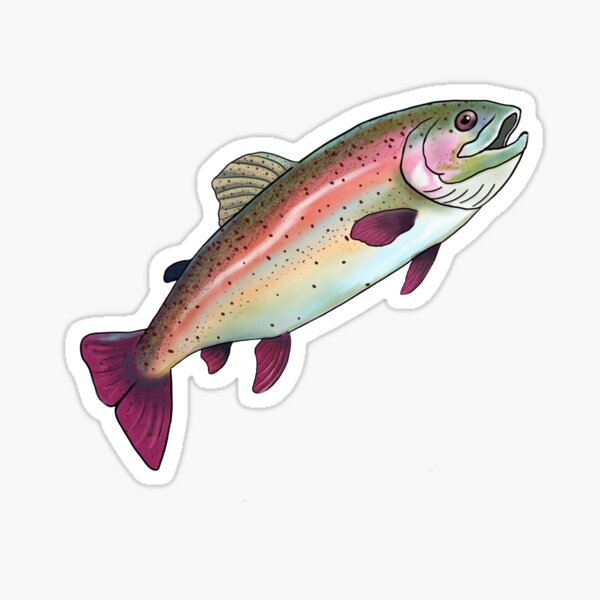 Lgbt Fishing Merch & Gifts for Sale