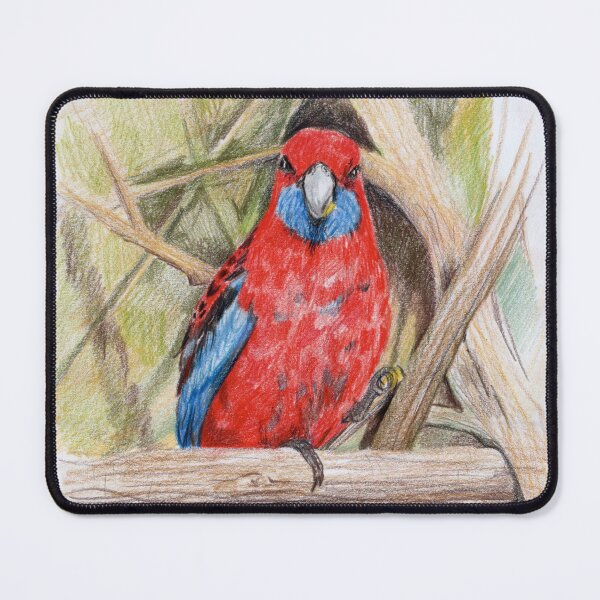 Item preview, Morning Tea: Crimson rosella designed and sold by Aakheperure.