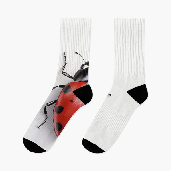 Item preview, Ladybug on a White Background designed and sold by dcrc.