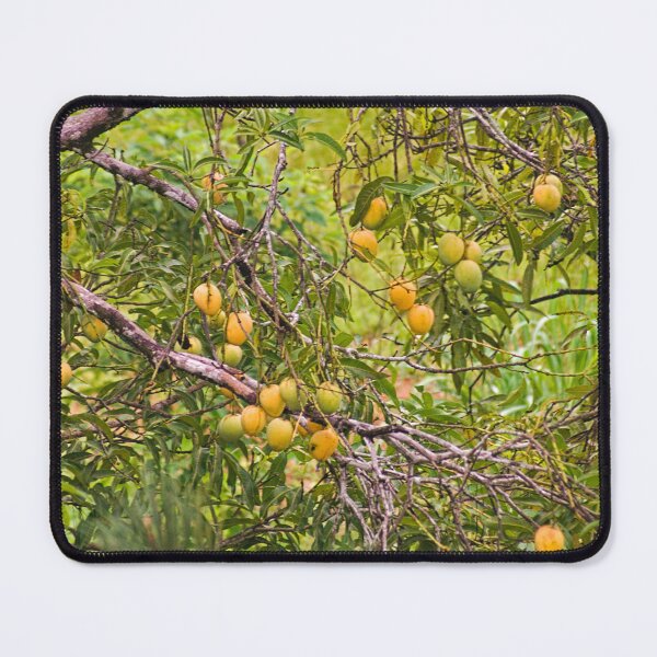 Item preview, Ela mangoes designed and sold by pcfyi.