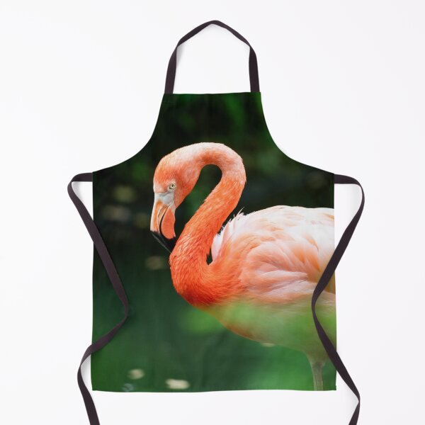 Artikelvorschau, Flamingo entworfen und verkauft von Tiffany Bumgardner.