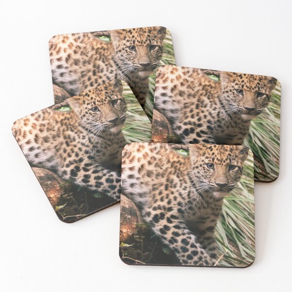 Item preview, Leopard Cub designed and sold by Tiffany Bumgardner.