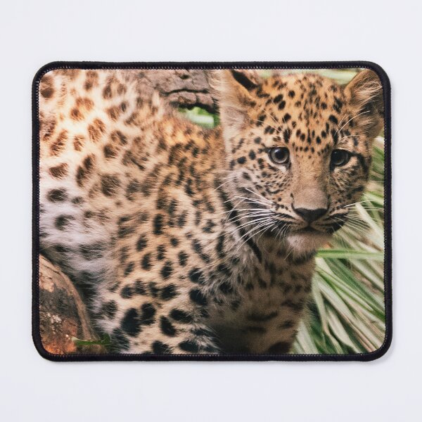 Item preview, Leopard Cub designed and sold by Tiffany Bumgardner.