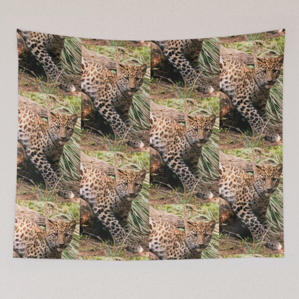 Item preview, Leopard Cub designed and sold by Tiffany Bumgardner.