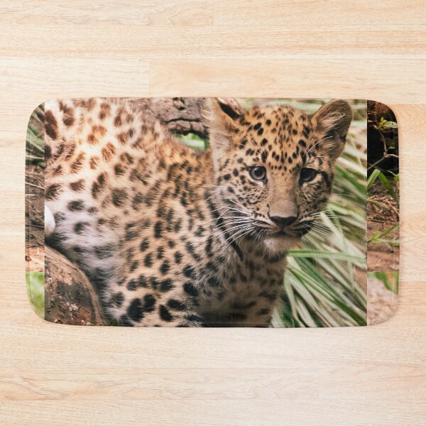 Item preview, Leopard Cub designed and sold by Tiffany Bumgardner.
