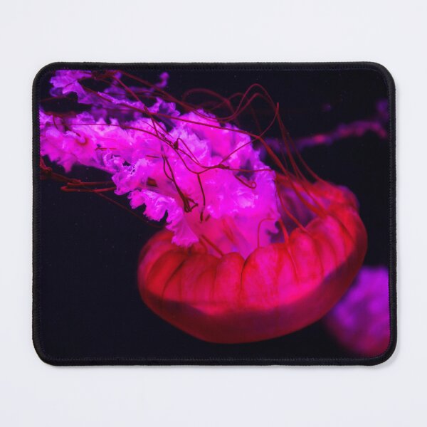 Item preview, Jelly Fish designed and sold by Tiffany Bumgardner.