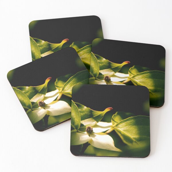 Item preview, Dogwood Tree Flower designed and sold by Tiffany Bumgardner.