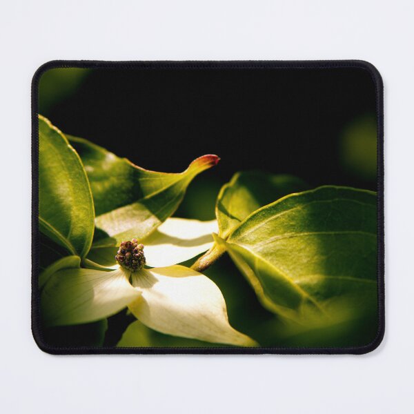 Item preview, Dogwood Tree Flower designed and sold by Tiffany Bumgardner.