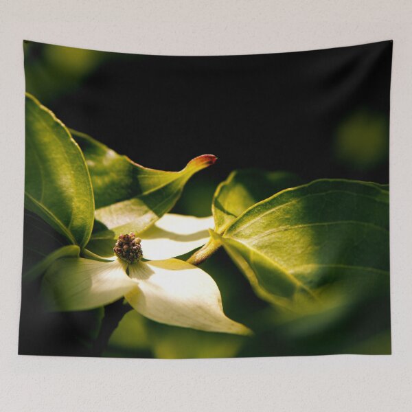 Item preview, Dogwood Tree Flower designed and sold by Tiffany Bumgardner.