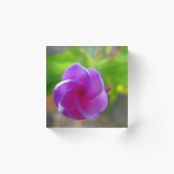 Periwinkle Bud Acrylic Block