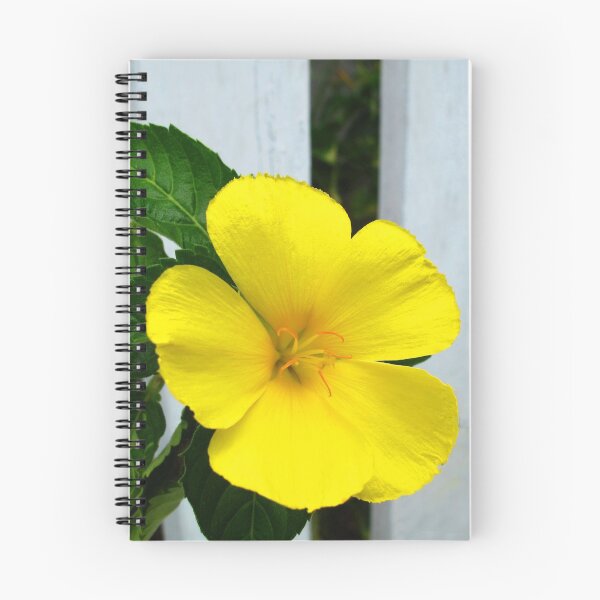 Item preview, Yellow Flower  designed and sold by AmandaDiedrick.