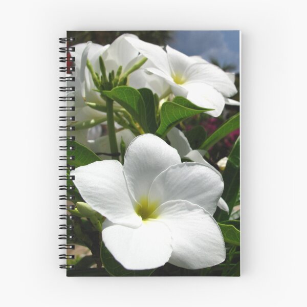 Item preview, White Flower designed and sold by AmandaDiedrick.