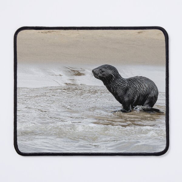 Item preview, Baby Seal designed and sold by Marylou Badeaux.