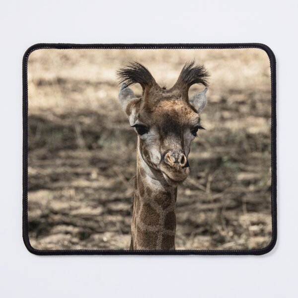 Item preview, Baby Giraffe designed and sold by Marylou Badeaux.