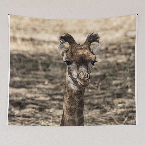 Item preview, Baby Giraffe designed and sold by Marylou Badeaux.