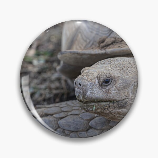 Item preview, Giant Tortoise designed and sold by Marylou Badeaux.