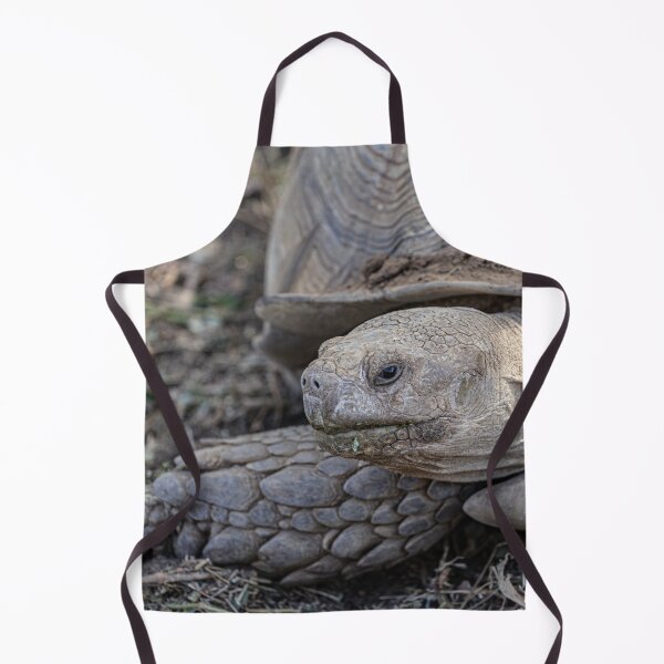 Item preview, Giant Tortoise designed and sold by Marylou Badeaux.