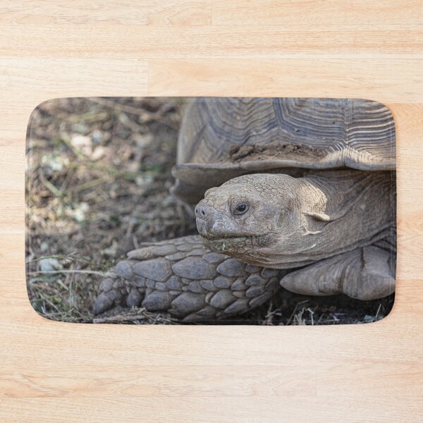 Item preview, Giant Tortoise designed and sold by Marylou Badeaux.