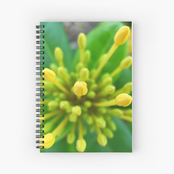 Yellow Buds Spiral Notebook