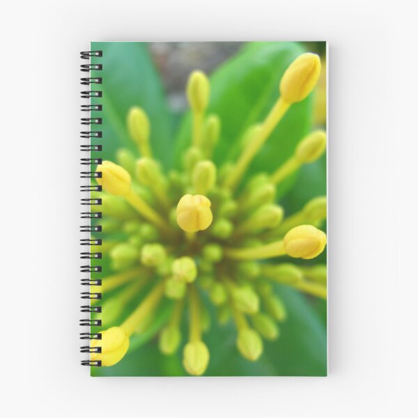 Item preview, Yellow Buds designed and sold by AmandaDiedrick.