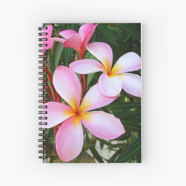 Pink Frangipani (Plumeria) II Spiral Notebook