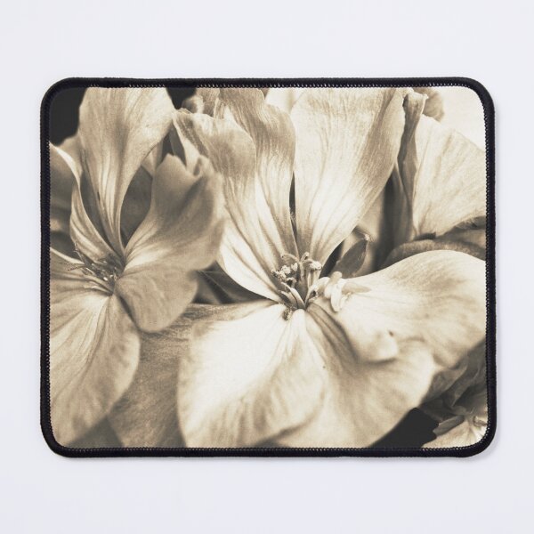 Item preview, Neutral beige geranium flowers photography designed and sold by by-jwp.