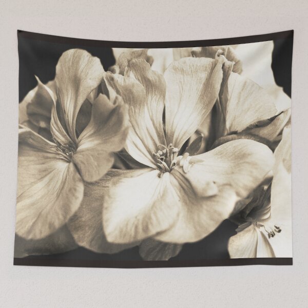 Item preview, Neutral beige geranium flowers photography designed and sold by by-jwp.