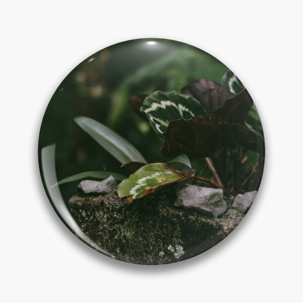 Item preview, CALATEA designed and sold by Candice O'Neill.