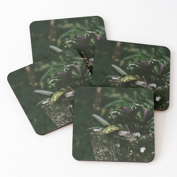 Item preview, CALATHEA designed and sold by Candice O'Neill.