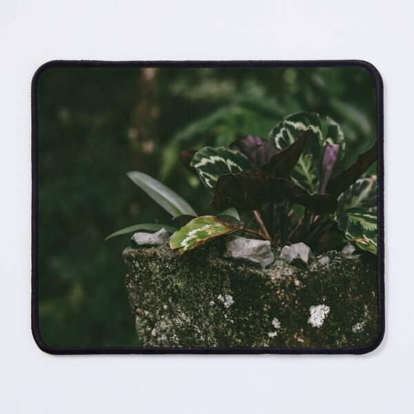 Item preview, CALATHEA designed and sold by Candice O'Neill.