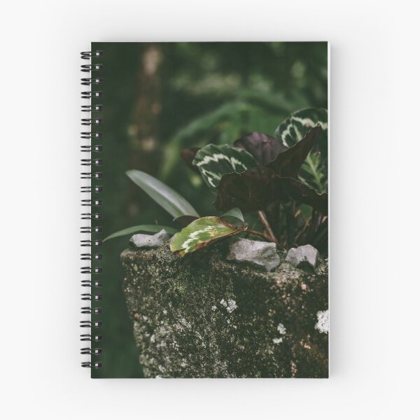 Item preview, CALATHEA designed and sold by Candice O'Neill.