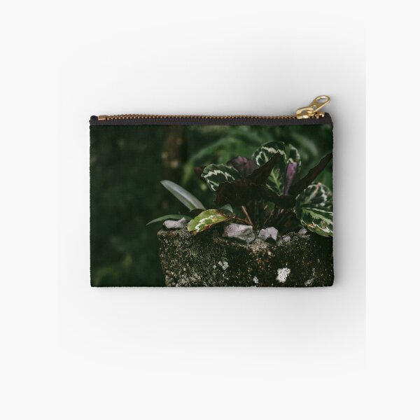 Item preview, CALATHEA designed and sold by Candice O'Neill.