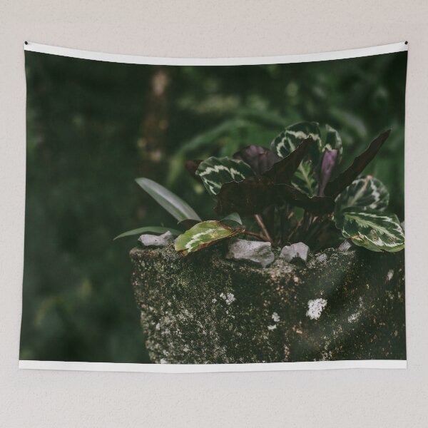 Item preview, CALATHEA designed and sold by Candice O'Neill.