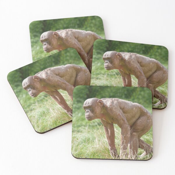 Item preview, Jambo The Hairless Chimp designed and sold by rawshutterbug.