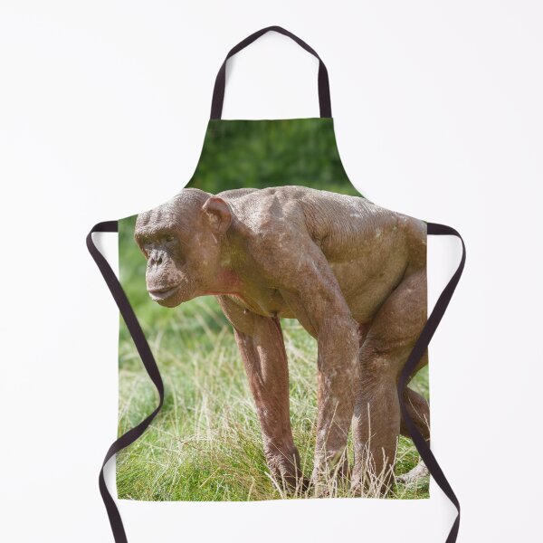 Item preview, Jambo The Hairless Chimp designed and sold by rawshutterbug.