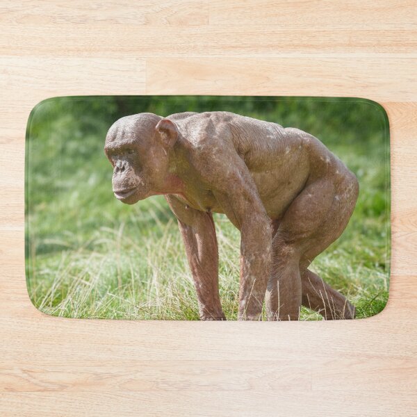 Item preview, Jambo The Hairless Chimp designed and sold by rawshutterbug.