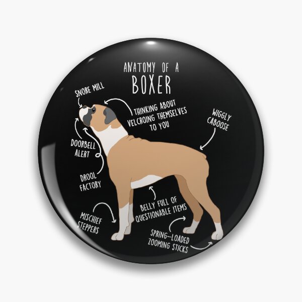 Item preview, Boxer Dog Fawn Anatomy designed and sold by Clara Hollins.