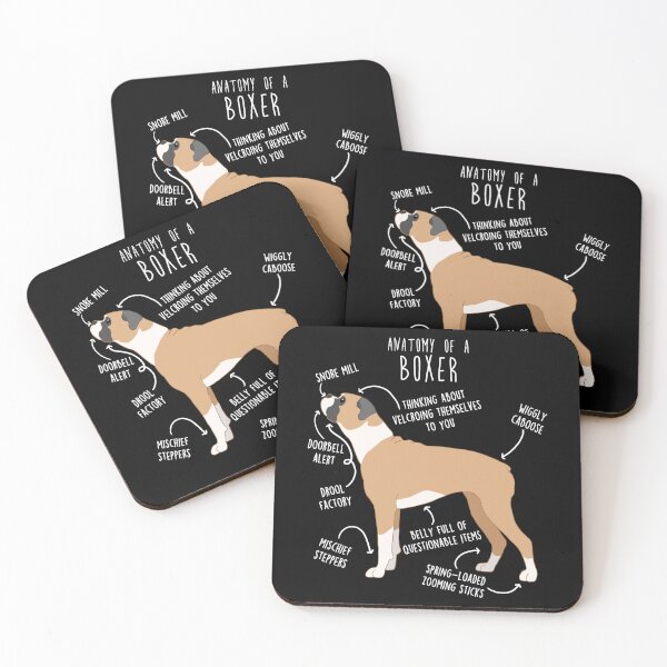 Item preview, Boxer Dog Fawn Anatomy designed and sold by Clara Hollins.