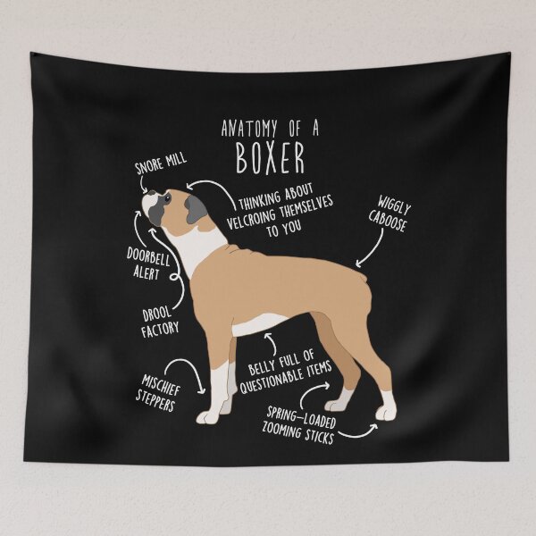 Item preview, Boxer Dog Fawn Anatomy designed and sold by Clara Hollins.