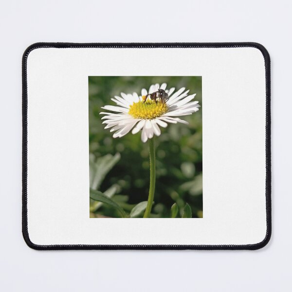 Item preview, Admiring Nature designed and sold by JessD-.
