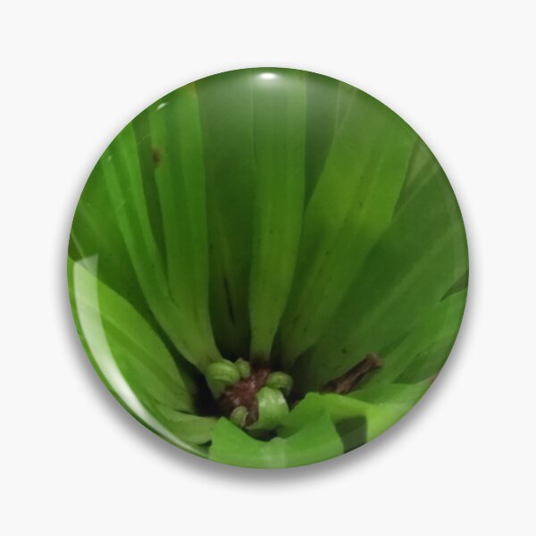 Item preview, Fronds designed and sold by Wolf's Art.