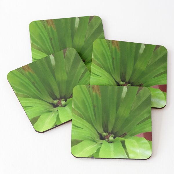 Item preview, Fronds designed and sold by Wolf's Art.