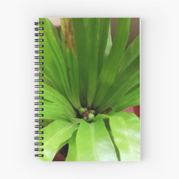 Item preview, Fronds designed and sold by Wolf's Art.
