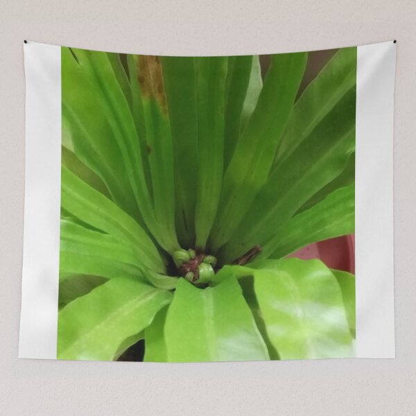 Item preview, Fronds designed and sold by Wolf's Art.