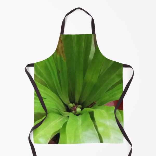 Item preview, Fronds designed and sold by Wolf's Art.