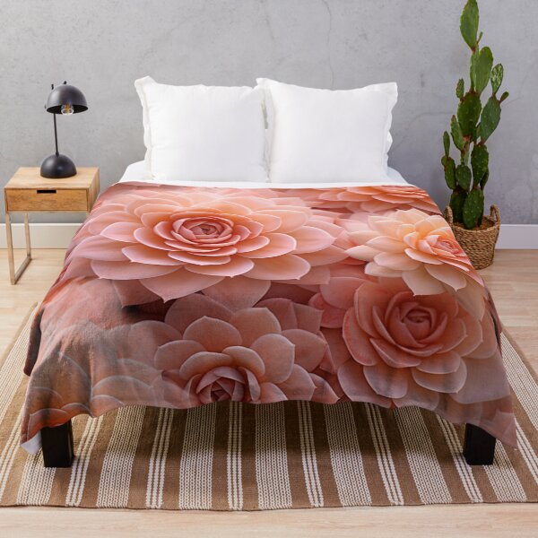 Item preview, Apricot Crush Colour of the Year 2024 with Succulents designed and sold by NadineMay.